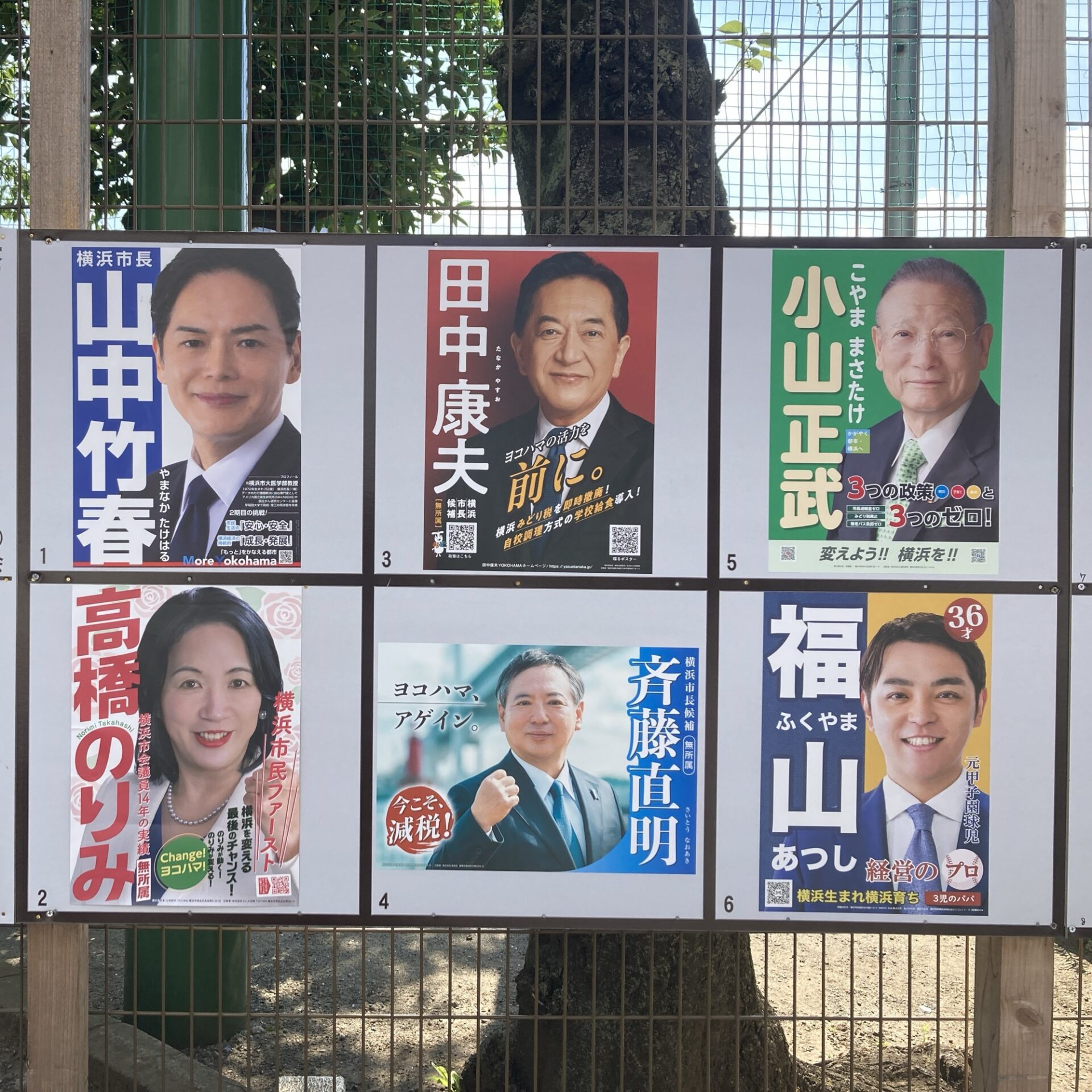 市政報告