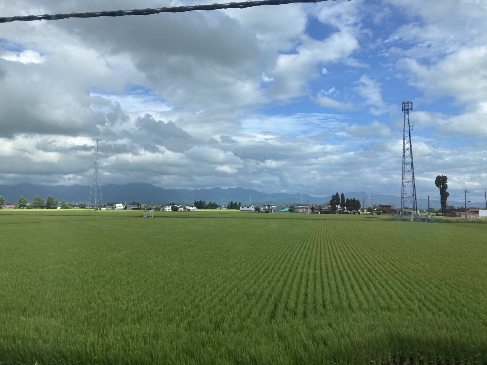 市政報告