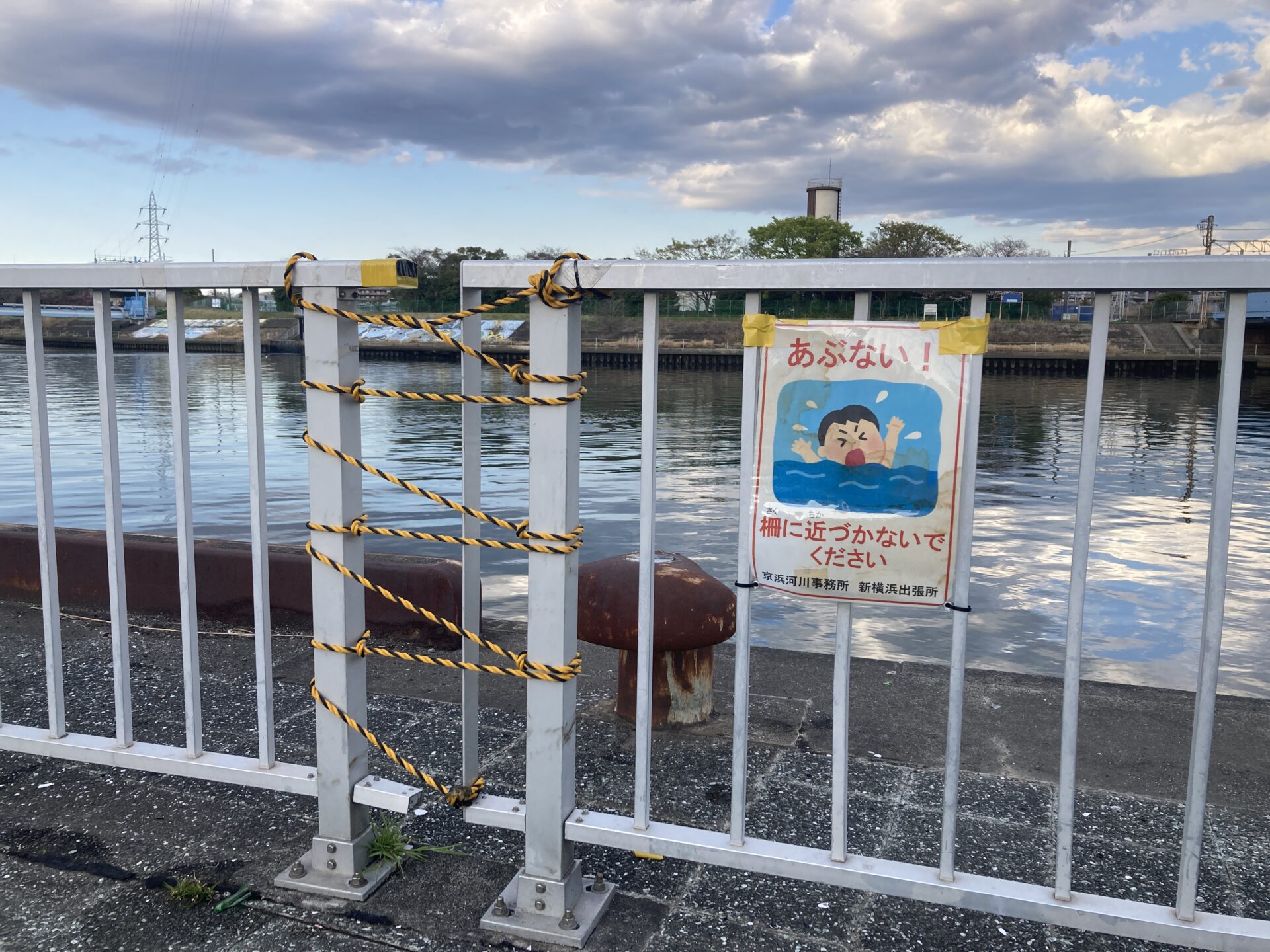 活動実績