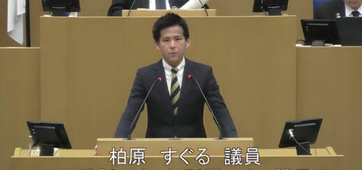 令和8年2月10日 令和8年第1回定例会(本会議) 柏原すぐる議員(鶴見区)