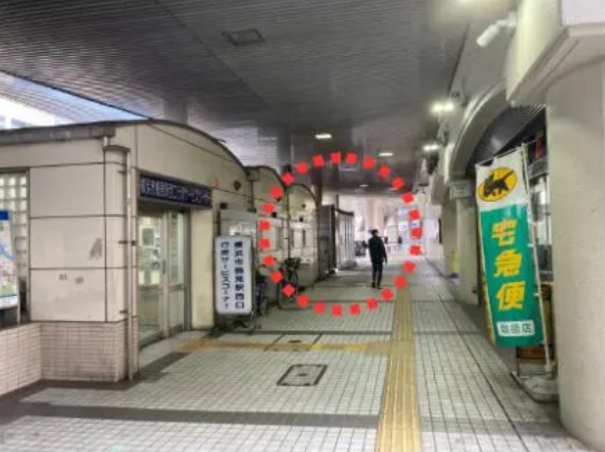 活動実績