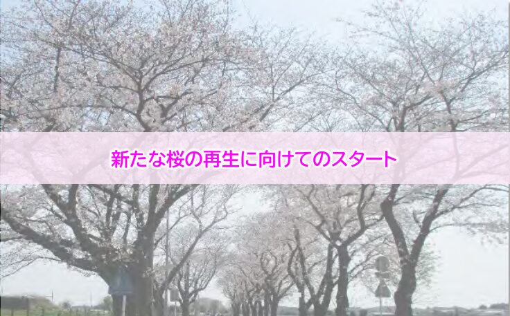 市政報告