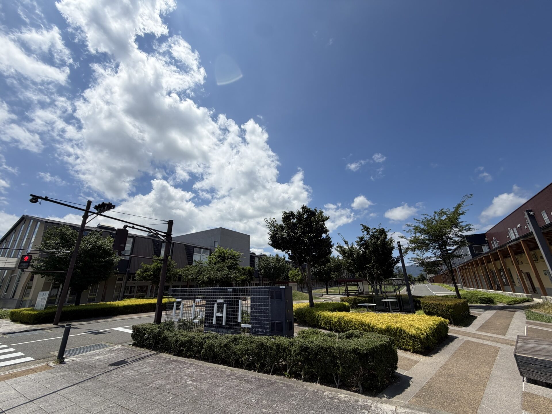 市政報告