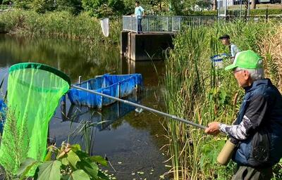 水辺で網を使って調査するトンボはドコまで飛ぶかフォーラムの活動の様子。横浜市の講座案内掲載写真