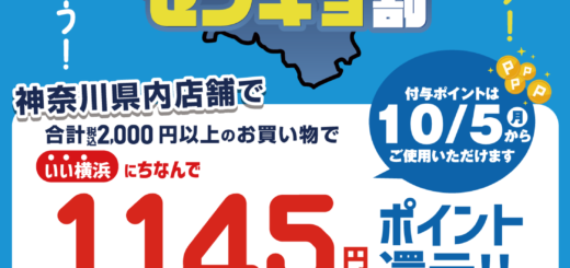 ノジマのセンキョ割。横浜市長選挙2026、税込2,000円以上の買い物で1,145円分ポイント還元。実施期間10月5日から31日。