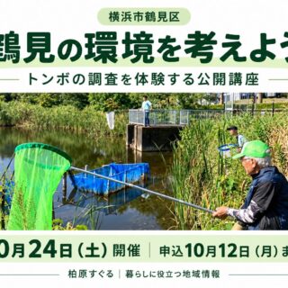 鶴見の環境を考えよう。トンボ調査を体験する公開講座。10月24日開催、申込10月12日まで。横浜市掲載の活動写真をもとにした案内画像